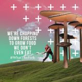FoodWave-mushroom