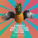 FoodWave-pineapple