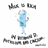 FoodWave-milk-1