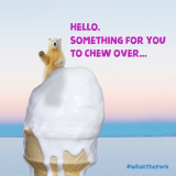 FoodWave-icecream-1-Copy
