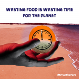 FoodWave-time