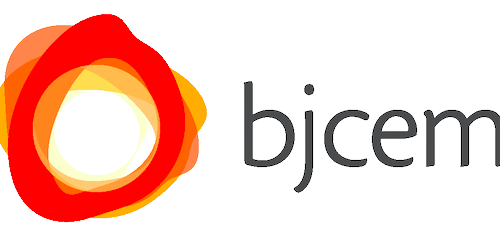 Logo Partner