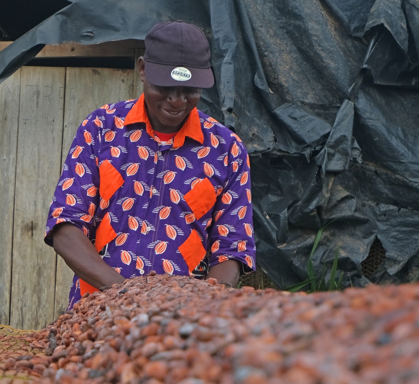 The unsustainable price of cocoa